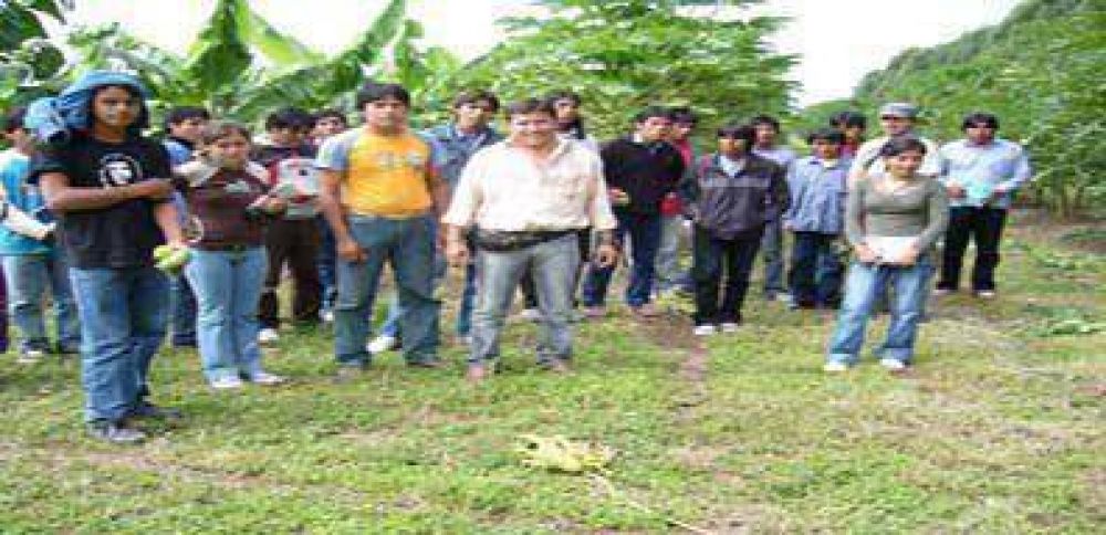 Se realiza ma�ana la jornada de banana subtropical en el CEDEVA-Tacaagle