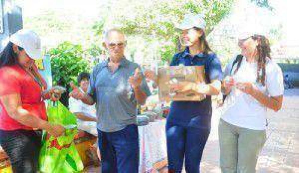 M�s acciones en la campa�a contra el dengue
