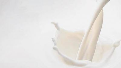 Aumenta la leche y sus derivados para los almaceneros