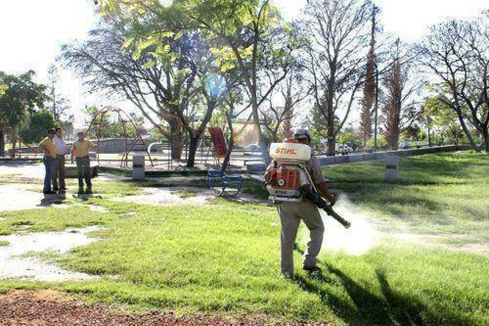 Contin�an las fumigaciones en los barrios de la Capital