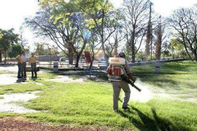 Contin�an las fumigaciones en los barrios de la Capital