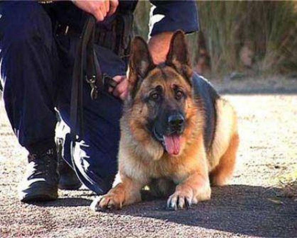 Jornada de concientizaci�n sobre tenencia responsable de mascotas en barrios Los Ceibos I y II