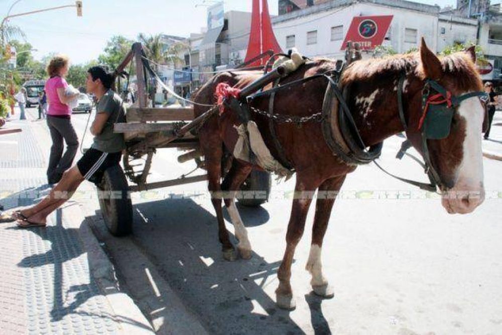 La sustituci�n de carros por motoveh�culos no encuentra respuestas en el Concejo municipal