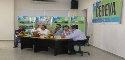 Conf�an en reposicionar a la banana formose�a a trav�s de los nuevos protocolos de producci�n