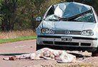 Un ciclista muri� al ser atropellado por auto 