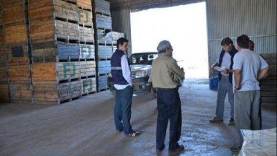 Encuentran aproximadamente 77 toneladas de limones sin documentaci�n