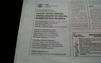 Pulti privatizar� el servicio de gr�as
