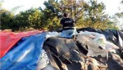 Allanaron cerealeras por presunto tr�fico de granos