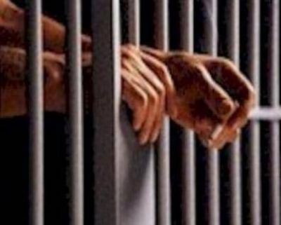 Cr�ticas al sistema de seguridad, de justicia y carcelario de San Luis