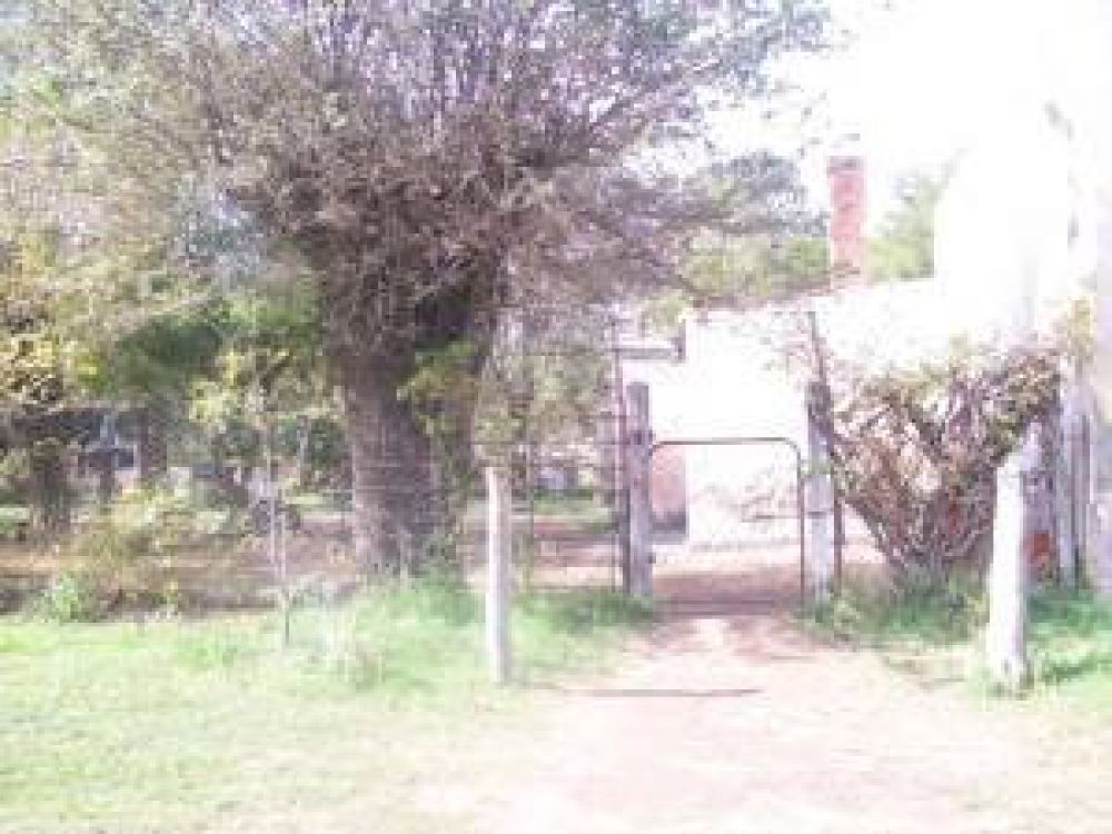 Contin�a grave el beb� mordido por un perro en Buena Esperanza