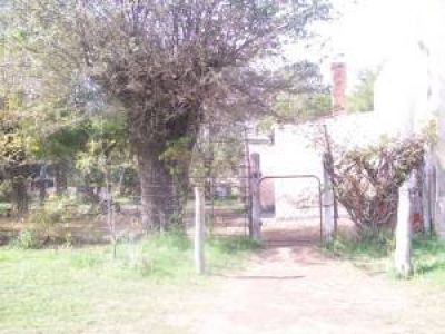 Contin�a grave el beb� mordido por un perro en Buena Esperanza