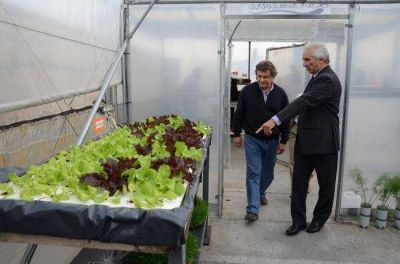 Inauguran planta municipal Hidrop�nica