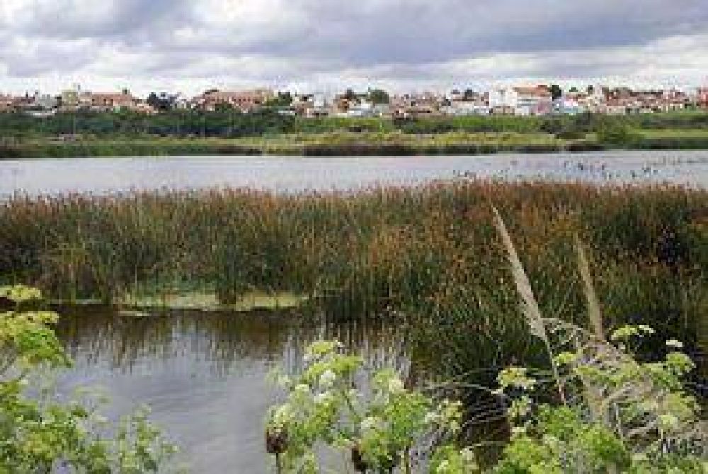 Denuncian que la Reserva del Puerto puede desaparecer