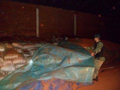 La Afip descubri� contrabando de soja transg�nica en Misiones