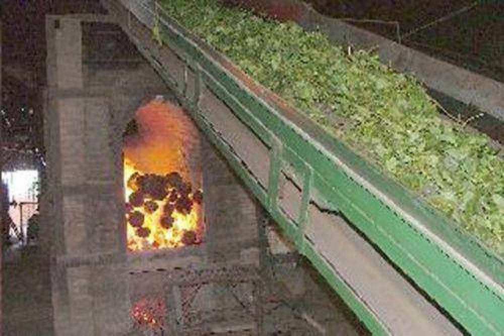 Yerba: Secaderos barbacu� recibieron fondos para la cosecha