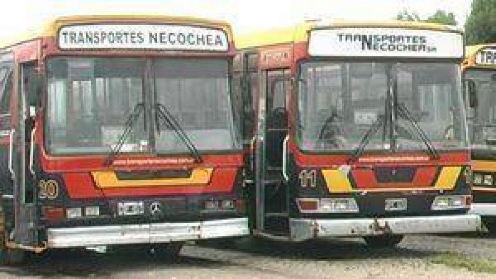 En mayo se licita el transporte Escolar. Hay preocupaci�n por una posible falta de oferentes