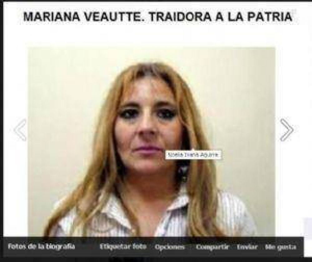 Democratizaci�n de la Justicia: Veaute vot� en contra pero igual fue criticada por la UCR