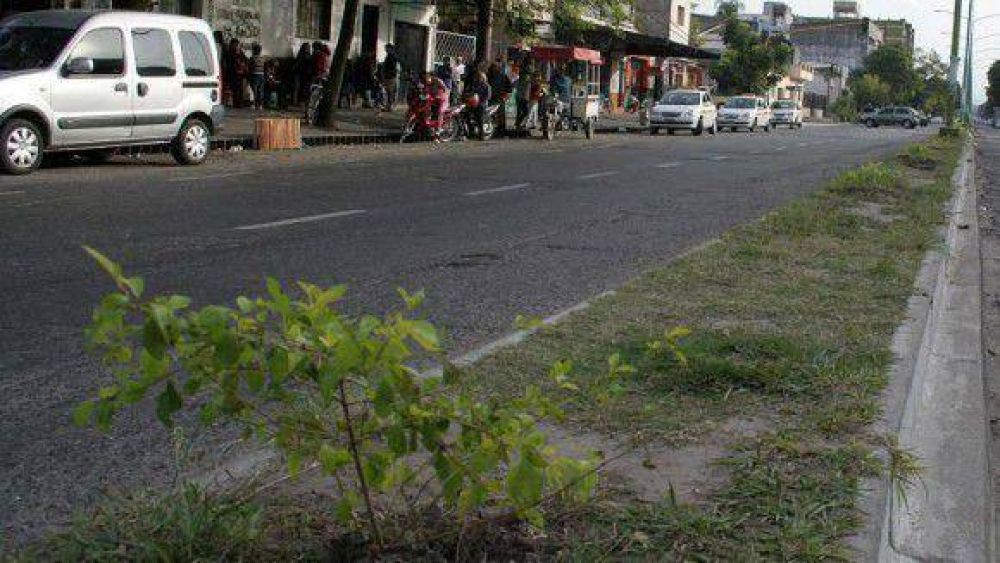 Avanza un plan de forestaci�n en las avenidas de la Capital