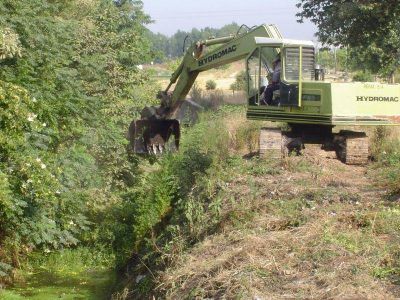 Brown: limpian el canal en San Jos�
