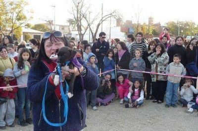 Celebran el D�a del Animal en el Parque de las Naciones