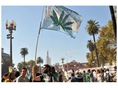Convocan a la edici�n paranaense de la Marcha Mundial de la Marihuana