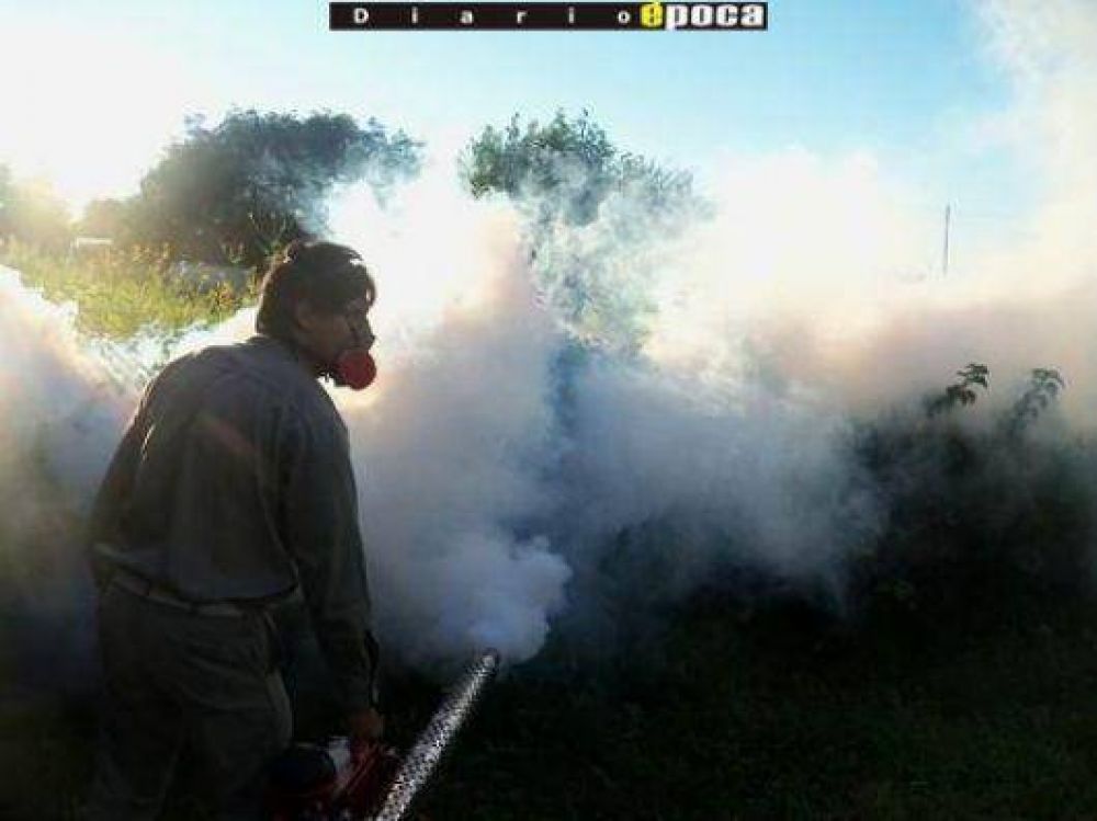 Dengue: cinco nuevos casos y de personas ya infectadas a�os atr�s