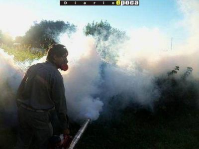 Dengue: cinco nuevos casos y de personas ya infectadas a�os atr�s