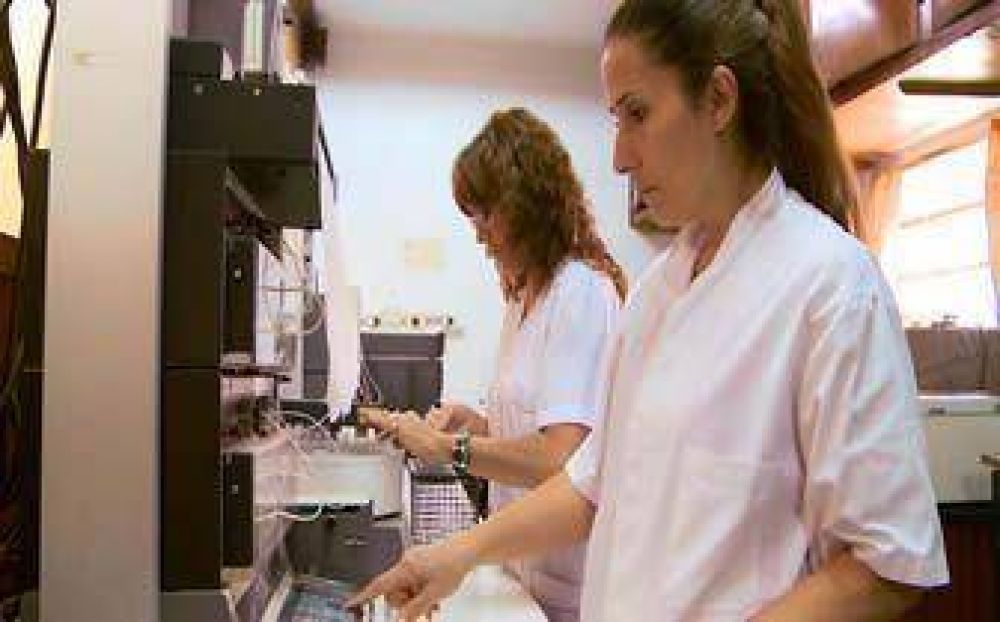 Profesionales de la UNT detectaron un sistema de defensa para plantas de frutilla