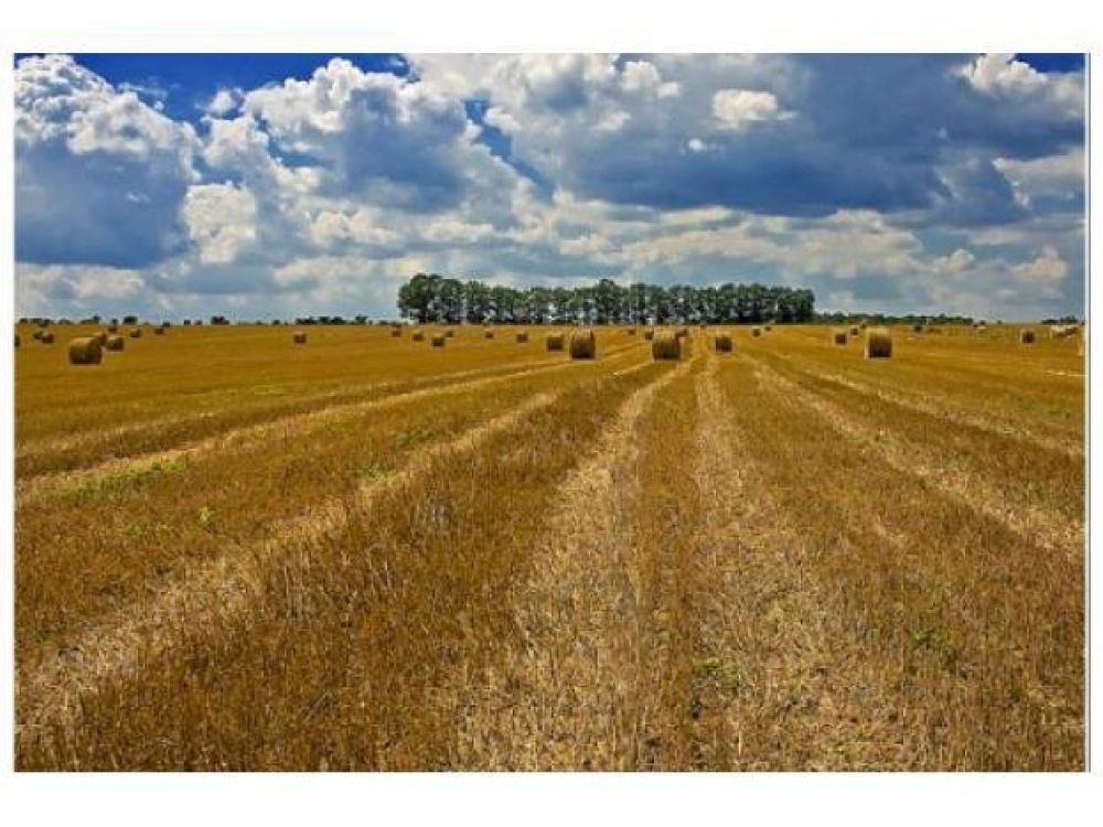 El Inmobiliario Rural, en suba