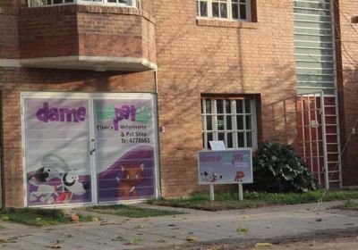 Detienen a dos j�venes tras violento asalto a veterinaria 