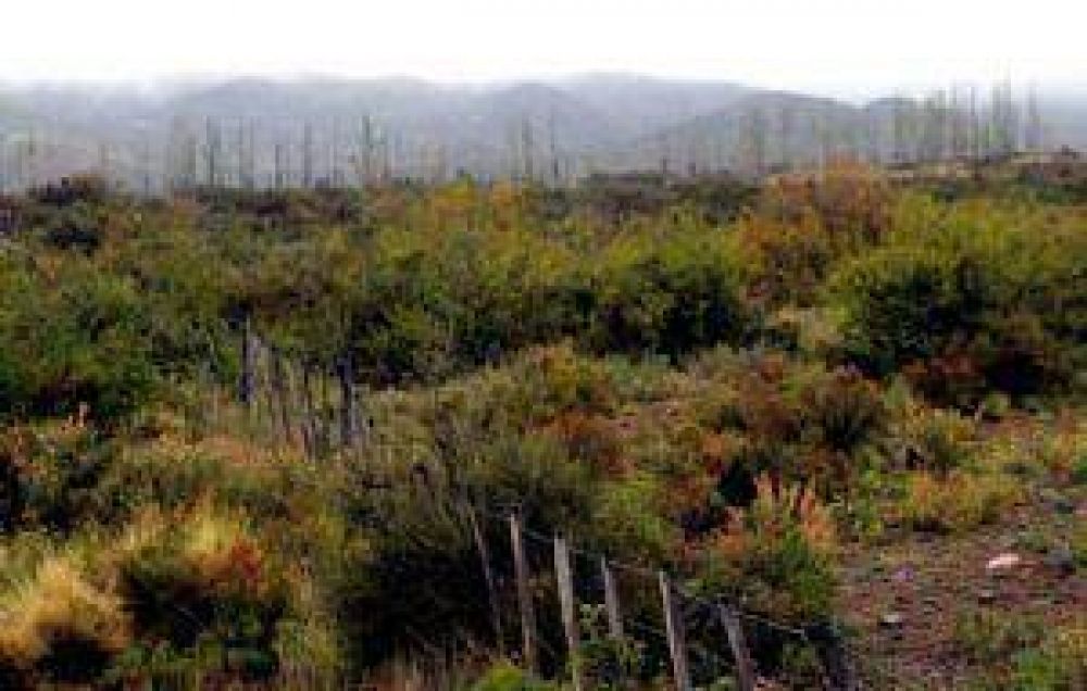 Fari�a nunca escritur� las tierras que compr� en Tunuy�n