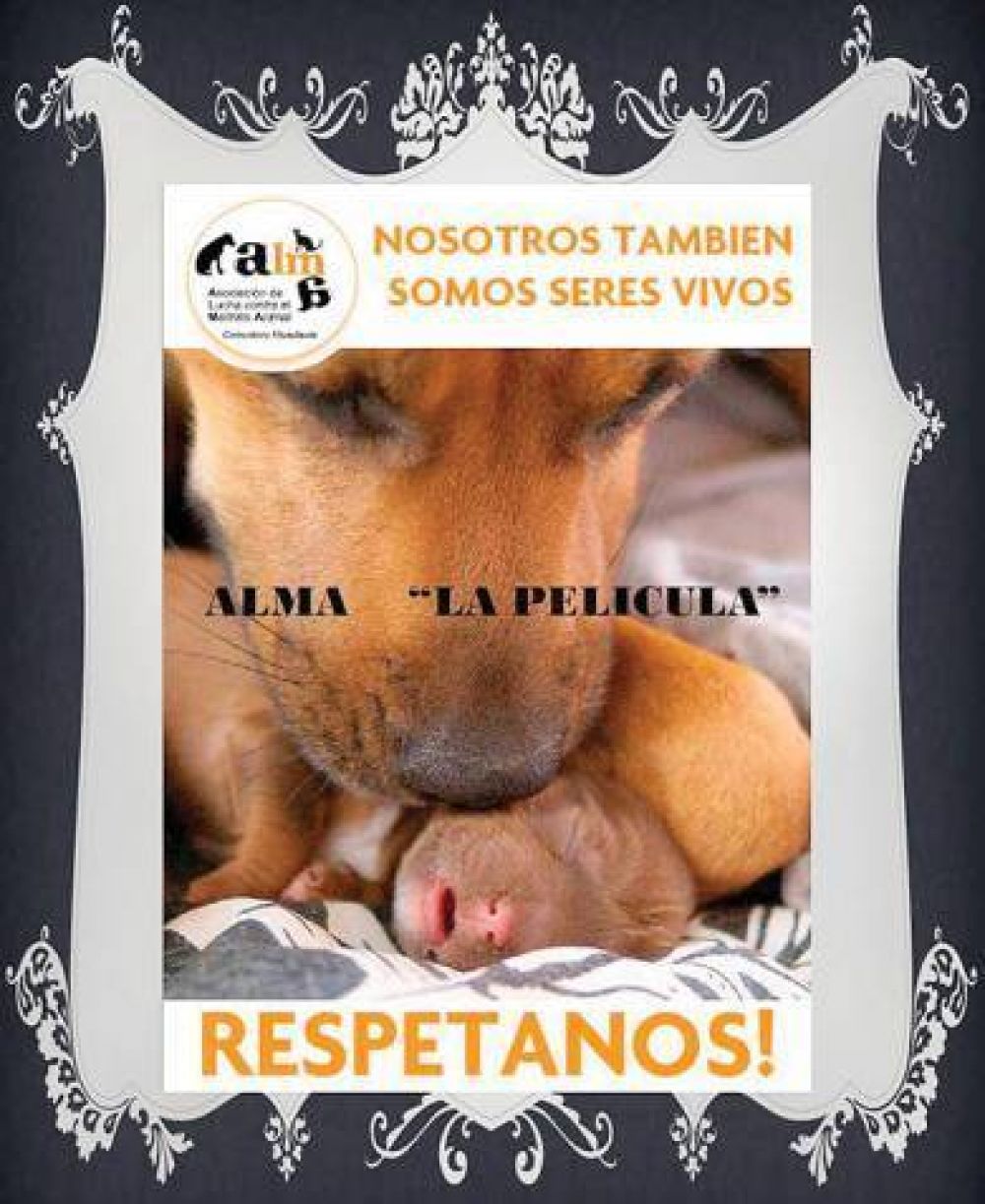 ALMA presenta su pel�cula en el Centro Cultural