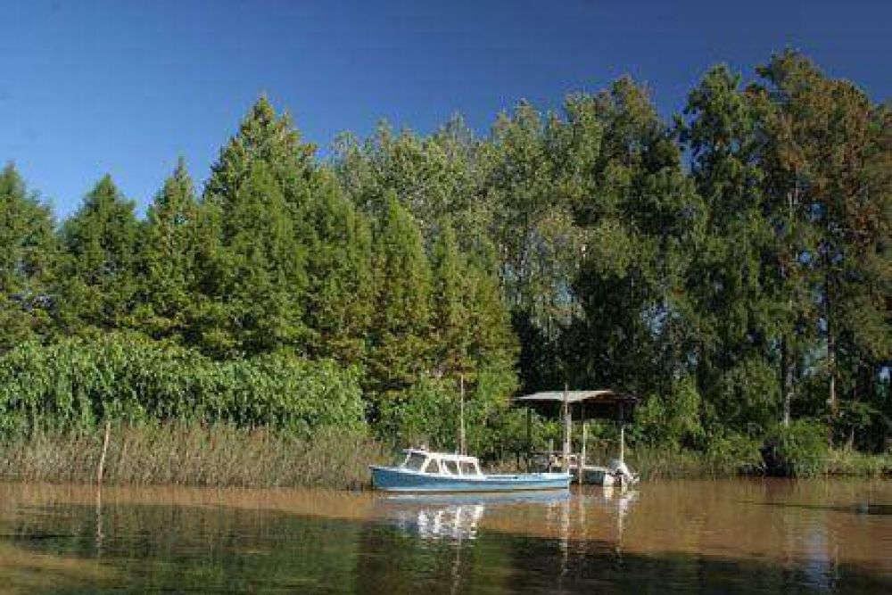 Tigre tiene la mejor calidad ambiental de la Provincia