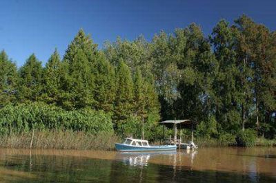 Tigre tiene la mejor calidad ambiental de la Provincia