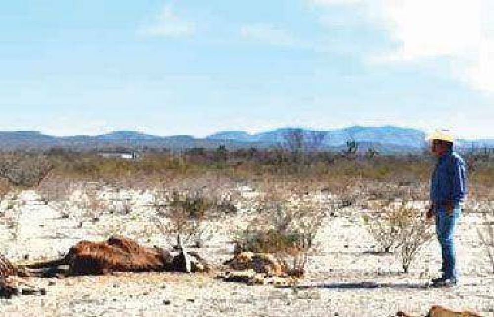 Agricultura analiza asistencia a productores por la sequ�a