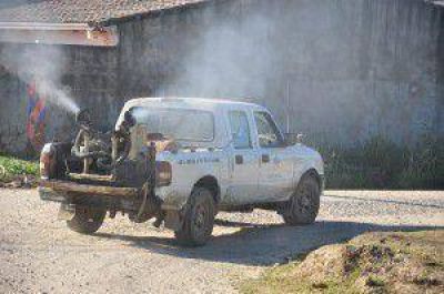 Contin�an las tareas de prevenci�n contra el dengue