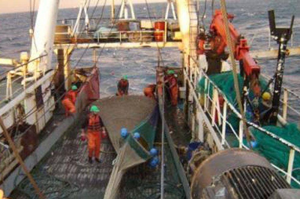 Prorrogan hasta el 8 de mayo la prospecci�n del langostino en Santa Cruz