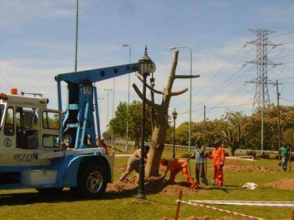 Comenz� en Tigre el Plan de Poda 2013