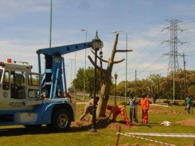 Comenz� en Tigre el Plan de Poda 2013