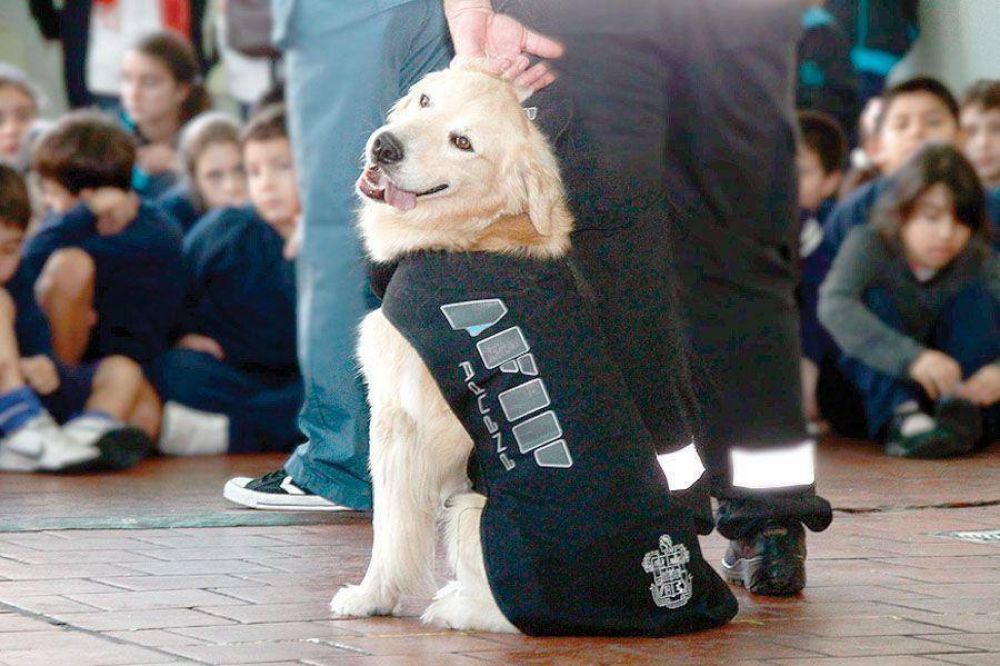 Por el D�a del Animal, la AFIP realiz� charlas y demostraciones con sus perros