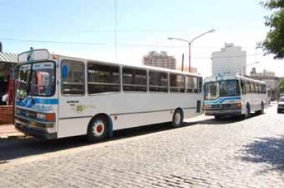 Desde la oposici�n denuncian la falta de decisi�n pol�tica para poner en marcha el servicio de colectivos urbanos