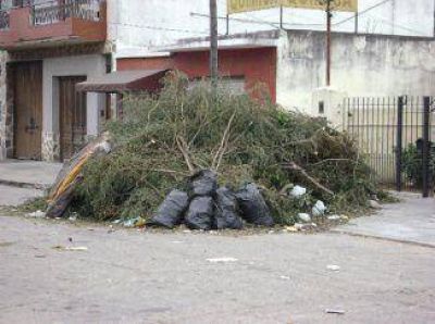 La prohibici�n de la poda despierta malestar por la falta de servicios municipales