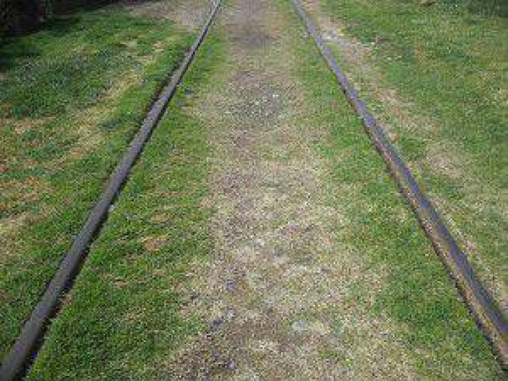 La comisi�n Pro Tren del Valle pidi� la intervenci�n de la defensora del pueblo de Rio Negro