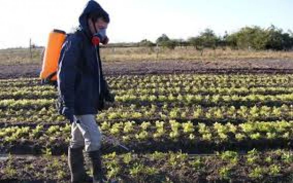 Modificaron el uso de agroqu�micos