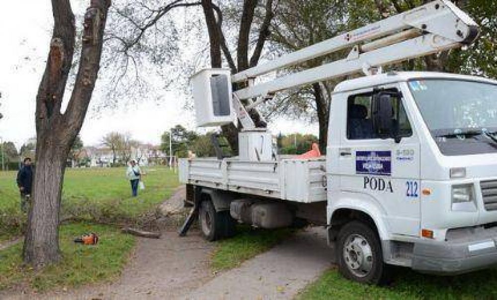 El Municipio realiz� trabajos de poda en Plaza Esteban Echeverr�a