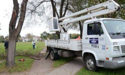 El Municipio realiz� trabajos de poda en Plaza Esteban Echeverr�a