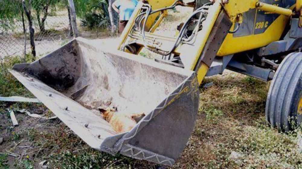 De�n Funes: hallaron m�s animales muertos y suspenden actividades p�blicas y clases