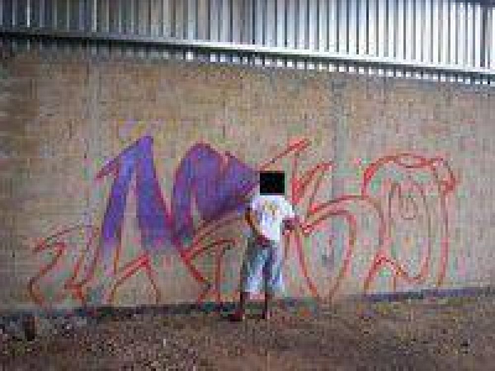 Aseguran que no se sancionan las pintadas en la calle