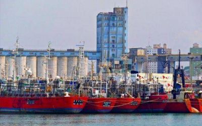 A fin de mes se conocer�n las propuestas para la obra del dragado del puerto