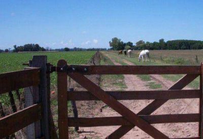 Se�alan que familias que adquieran tierras expropiada por el Estado misionero deber�n pagarlas